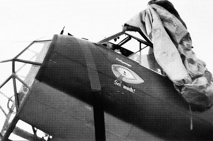 0-emblem-II.KG2-Dornier-01[1].jpg